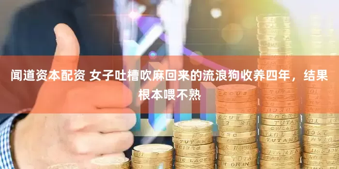 闻道资本配资 女子吐槽吹麻回来的流浪狗收养四年，结果根本喂不熟