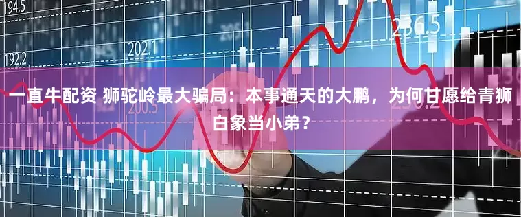 一直牛配资 狮驼岭最大骗局：本事通天的大鹏，为何甘愿给青狮白象当小弟？